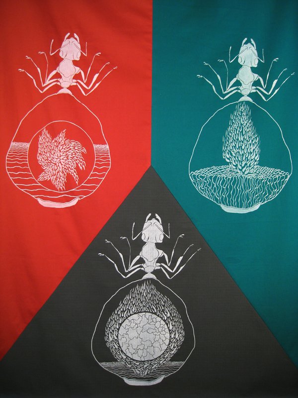 colony5detail