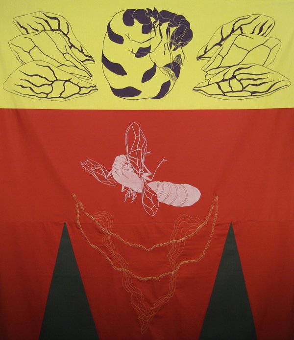colony8detail